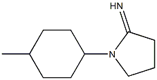 1-(4-methylcyclohexyl)pyrrolidin-2-imine 结构式