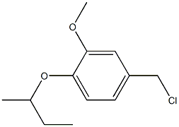 1-(butan-2-yloxy)-4-(chloromethyl)-2-methoxybenzene 结构式