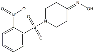 1-[(2-nitrophenyl)sulfonyl]piperidin-4-one oxime 结构式