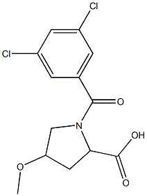1-[(3,5-dichlorophenyl)carbonyl]-4-methoxypyrrolidine-2-carboxylic acid 结构式