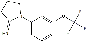 1-[3-(trifluoromethoxy)phenyl]pyrrolidin-2-imine 结构式