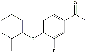 1-{3-fluoro-4-[(2-methylcyclohexyl)oxy]phenyl}ethan-1-one 结构式
