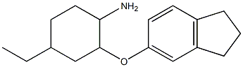 2-(2,3-dihydro-1H-inden-5-yloxy)-4-ethylcyclohexan-1-amine 结构式