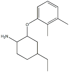 2-(2,3-dimethylphenoxy)-4-ethylcyclohexan-1-amine 结构式