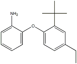 2-(2-tert-butyl-4-ethylphenoxy)aniline 结构式