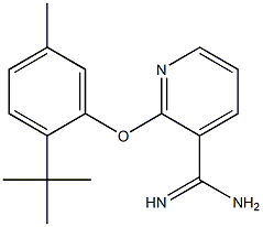 2-(2-tert-butyl-5-methylphenoxy)pyridine-3-carboximidamide 结构式