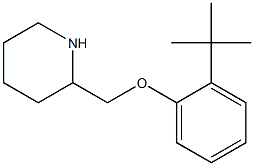 2-(2-tert-butylphenoxymethyl)piperidine 结构式