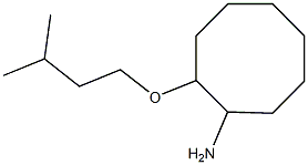 2-(3-methylbutoxy)cyclooctan-1-amine 结构式