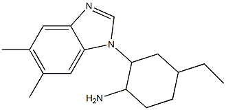 2-(5,6-dimethyl-1H-1,3-benzodiazol-1-yl)-4-ethylcyclohexan-1-amine 结构式