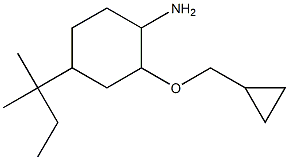 2-(cyclopropylmethoxy)-4-(2-methylbutan-2-yl)cyclohexan-1-amine 结构式
