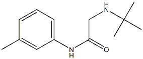 2-(tert-butylamino)-N-(3-methylphenyl)acetamide 结构式