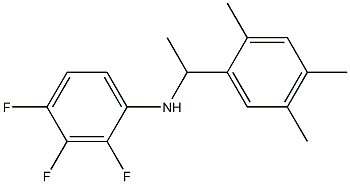 2,3,4-trifluoro-N-[1-(2,4,5-trimethylphenyl)ethyl]aniline 结构式