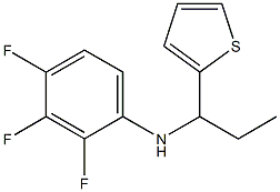 2,3,4-trifluoro-N-[1-(thiophen-2-yl)propyl]aniline 结构式