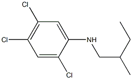2,4,5-trichloro-N-(2-methylbutyl)aniline 结构式