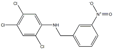 2,4,5-trichloro-N-[(3-nitrophenyl)methyl]aniline 结构式