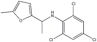 2,4,6-trichloro-N-[1-(5-methylfuran-2-yl)ethyl]aniline 结构式