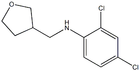 2,4-dichloro-N-(oxolan-3-ylmethyl)aniline 结构式