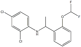 2,4-dichloro-N-{1-[2-(difluoromethoxy)phenyl]ethyl}aniline 结构式