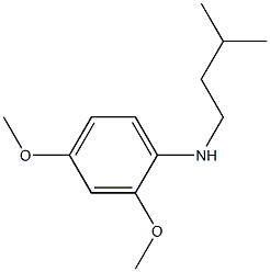 2,4-dimethoxy-N-(3-methylbutyl)aniline 结构式