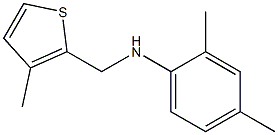 2,4-dimethyl-N-[(3-methylthiophen-2-yl)methyl]aniline 结构式