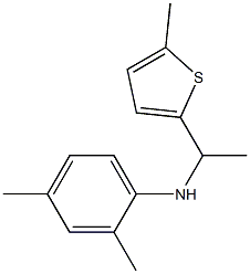 2,4-dimethyl-N-[1-(5-methylthiophen-2-yl)ethyl]aniline 结构式