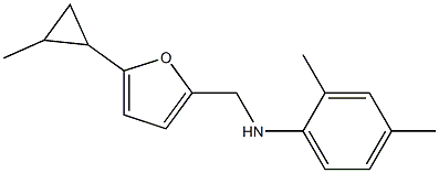 2,4-dimethyl-N-{[5-(2-methylcyclopropyl)furan-2-yl]methyl}aniline 结构式