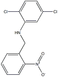 2,5-dichloro-N-[(2-nitrophenyl)methyl]aniline 结构式