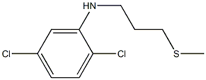 2,5-dichloro-N-[3-(methylsulfanyl)propyl]aniline 结构式