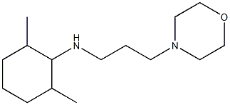 2,6-dimethyl-N-[3-(morpholin-4-yl)propyl]cyclohexan-1-amine 结构式