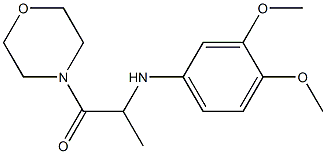 2-[(3,4-dimethoxyphenyl)amino]-1-(morpholin-4-yl)propan-1-one 结构式