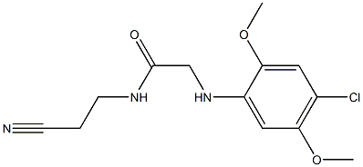 2-[(4-chloro-2,5-dimethoxyphenyl)amino]-N-(2-cyanoethyl)acetamide 结构式