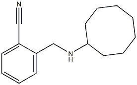 2-[(cyclooctylamino)methyl]benzonitrile 结构式