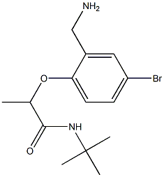 2-[2-(aminomethyl)-4-bromophenoxy]-N-tert-butylpropanamide 结构式