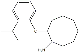 2-[2-(propan-2-yl)phenoxy]cyclooctan-1-amine 结构式