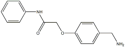 2-[4-(aminomethyl)phenoxy]-N-phenylacetamide 结构式