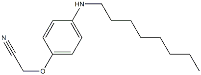 2-[4-(octylamino)phenoxy]acetonitrile 结构式