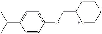 2-[4-(propan-2-yl)phenoxymethyl]piperidine 结构式