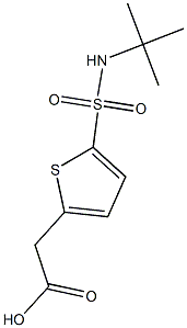 2-[5-(tert-butylsulfamoyl)thiophen-2-yl]acetic acid 结构式
