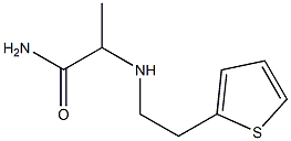 2-{[2-(thiophen-2-yl)ethyl]amino}propanamide 结构式
