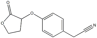 2-{4-[(2-oxooxolan-3-yl)oxy]phenyl}acetonitrile 结构式