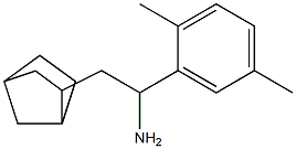 2-{bicyclo[2.2.1]heptan-2-yl}-1-(2,5-dimethylphenyl)ethan-1-amine 结构式