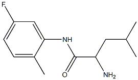 2-amino-N-(5-fluoro-2-methylphenyl)-4-methylpentanamide 结构式