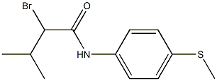 2-bromo-3-methyl-N-[4-(methylsulfanyl)phenyl]butanamide 结构式