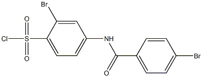 2-bromo-4-[(4-bromobenzene)amido]benzene-1-sulfonyl chloride 结构式