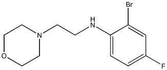 2-bromo-4-fluoro-N-[2-(morpholin-4-yl)ethyl]aniline 结构式