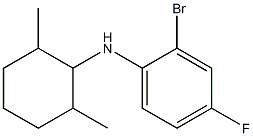 2-bromo-N-(2,6-dimethylcyclohexyl)-4-fluoroaniline 结构式