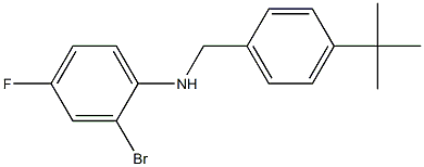 2-bromo-N-[(4-tert-butylphenyl)methyl]-4-fluoroaniline 结构式