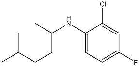 2-chloro-4-fluoro-N-(5-methylhexan-2-yl)aniline 结构式