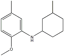 2-methoxy-5-methyl-N-(3-methylcyclohexyl)aniline 结构式