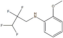 2-methoxy-N-(2,2,3,3-tetrafluoropropyl)aniline 结构式